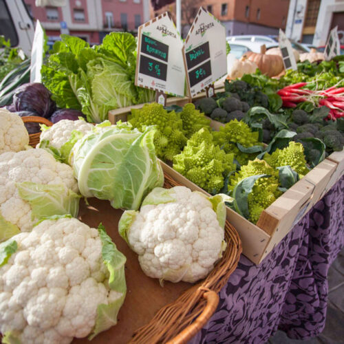 Ayudas a inversiones en transformación, comercialización o desarrollo de productos agrícolas y al fomento de la calidad agroalimentaria (FOCAL) 2025 Castilla-La Mancha