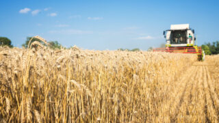 ¿Su empresa pertenece al sector agroalimentario? Las Ayudas FOCAL Castilla La Mancha 2025 ya están disponibles para impulsar su inversión